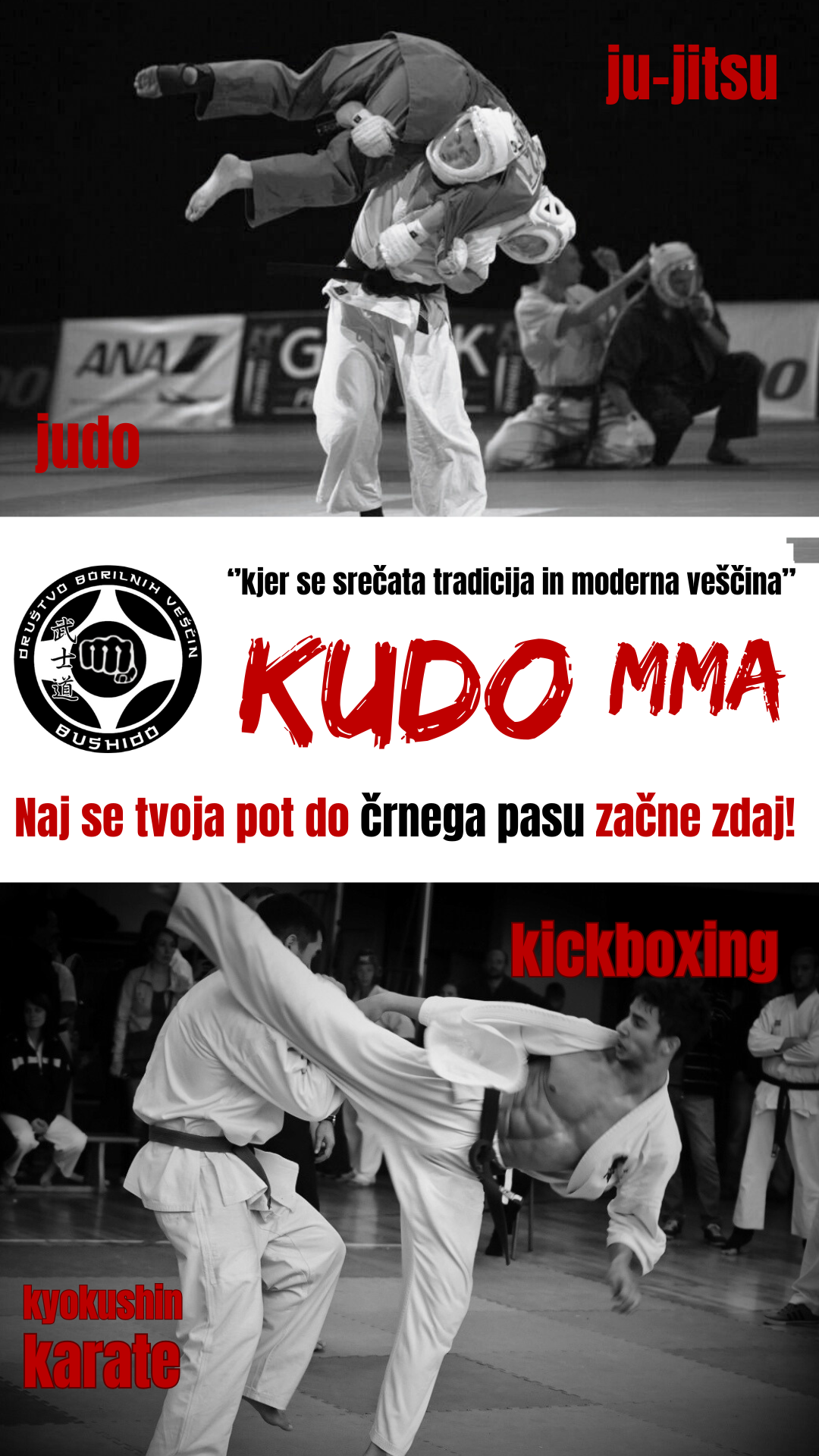 judo